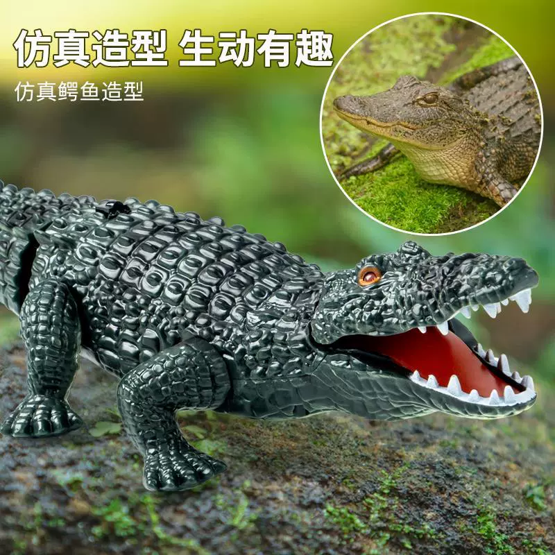 鳄鱼电动儿童网红遥控玩具爆款仿真益智整蛊趣味小动物小男孩女孩