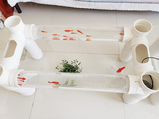 Net red fish farming coffee table pipeline creative fish farming PVC pipe balcony water pipe fish farming tank
