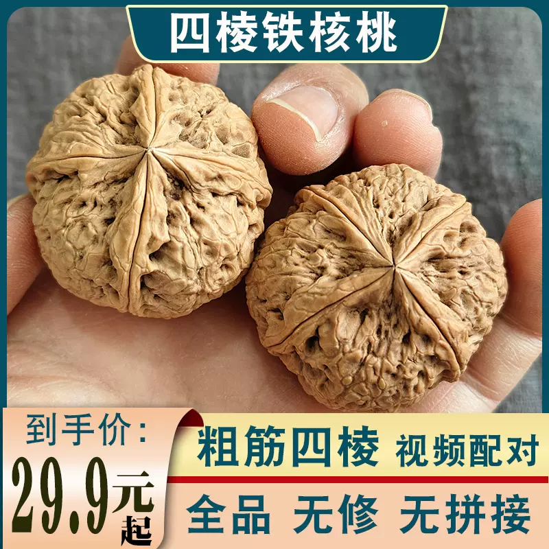 粗筋四棱野生四楞4边云南铁核桃全品无修无拼接