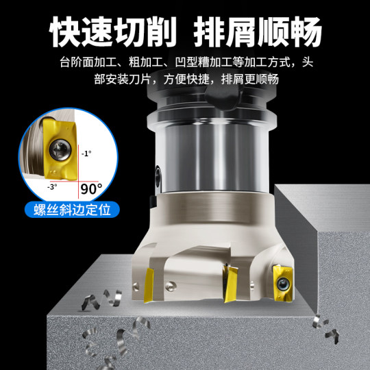 タンガロイ　ＤＯＰＥＮＴ　ねじ止め式正面フライスカッタ　ＴＥＮ０９ TEN09L125M38.1-10 1個 タンガロイ:タンガロイ DOPENT ねじ止め式正面フライスカッタ TEN09