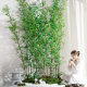 Simulated plants, fake bamboo, indoor and outdoor floor-standing Zen decorative partitions, screens, green plants, potted plants, landscaping, landscape ornaments