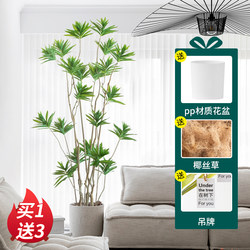 Nordic ins Style Floor-Standing Bionic Green Plant Artificial Plant Potted Lily Bamboo Indoor Living Room Fake Tree Decorative Ornament