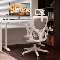 Computer Chair, Home Ergonomic Swivel Office Chair, Comfortable for Long Sitting, Gaming Chair, Desk Writing Chair with Backrest