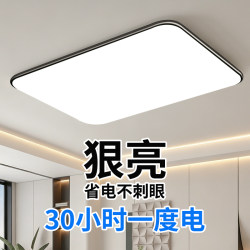 2026 New Model Living Room Lamp Led Ceiling Light Modern Minimalist Room Bedroom Lamp Full Spectrum Eye-Protection Zhongshan Lighting Fixtures