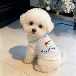 Pet Dog and Cat Clothes Spring and Summer Thin Elastic Cartoon Striped Lapel Vest for Small Dogs Like Teddy and Bichon