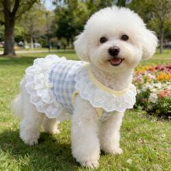 Dog Clothes Pet Spring and Summer Small Vest Teddy Puppy Yorkshire Bichon Cute Cat Dress Princess