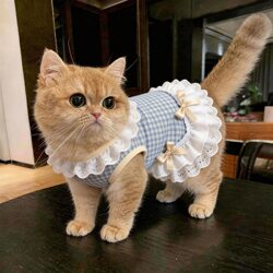 Cat Clothes, Kitten Anti-Shedding Thin Summer Vest, Ragdoll Cat, German Cat, Pet Dog Clothes, New Style