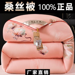 Thickened Silk Quilt, Winter Quilt, Genuine Mulberry Silk Cotton Quilt, Winter Warmth, Spring and Autumn Winter Space Quilt Core, Double Bedding