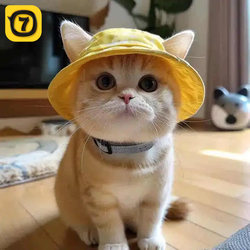 Cute Cat Hat with Exposed Ears, Dog Summer Sun Protection Hat, Devon Cat British Shorthair Pet Kitten Fisherman Hat