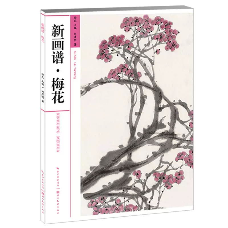 新画谱梅花国画技法基础步骤解析临摹画法初学者入门水墨画梅花