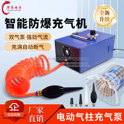 Air Column Bag Bubble Column Airbag Inflatable Pump Machine Air Pump for Red Wine, Milk Powder, Motor Oil, Fruit Air Column Electric 220V