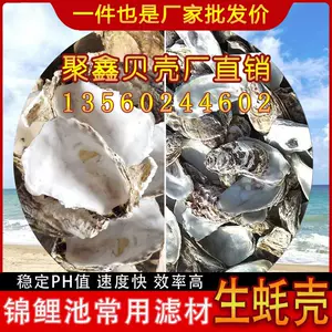 牡蛎饰- Top 100件牡蛎饰- 2024年4月更新- Taobao