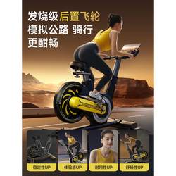 Oes Spinning Bike for Home Use, Silent Indoor Exercise Bike, Gym-Specific Cardio Equipment