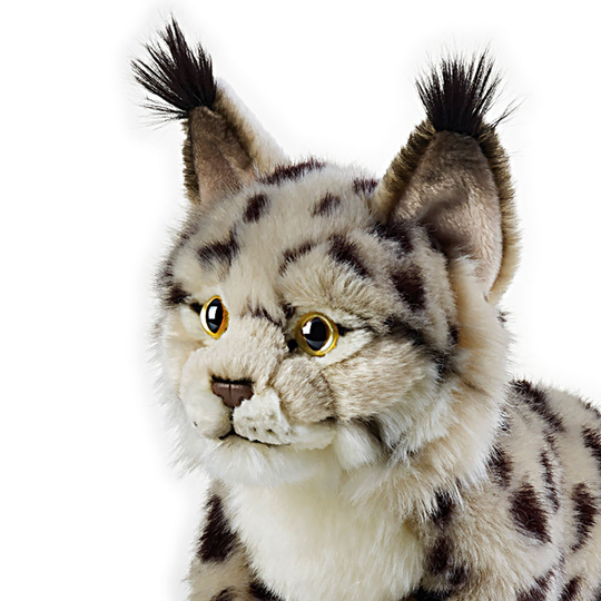 タグ付き＜ナショナルジオグラフィックぬいぐるみ 20体セット動物 タグ付き＜ナショナルジオグラフィックぬいぐるみ 20体セット