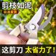 Pruning fruit tree pruning scissors Gardening flower pruning scissors Household powerful artifact flower pruning scissors