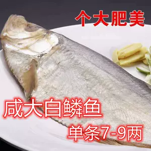 大白鱼- Top 100件大白鱼- 2024年4月更新- Taobao
