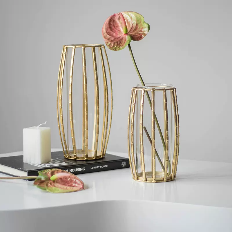 轻奢金属花瓶摆件客厅插花玻璃透明水培鲜花电视柜桌面装饰