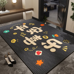 Entrance Door Mat, High-End New Model, Special Festive Household Door Mat, No-Wash Anti-Slip Carpet Mat