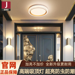 Ceiling Light at the Entrance of the Villa, Foyer Light, Entrance Light, Outdoor Courtyard, Eaves, Balcony, Outdoor Entrance Lighting