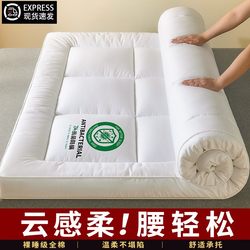 Mattress Pad, Bedding, Soft Cushion, Bed Pad, Home Bedroom Soft Cushion, Mattress Pad for Single-Person Rental Use 1.5m X2