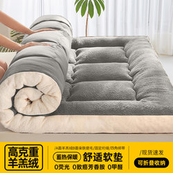 Mattress Winter Thickeneded Warm Lamb Velvet Cushion Student Dormitory Single Tatami Mattress Quilt Plush Cushion