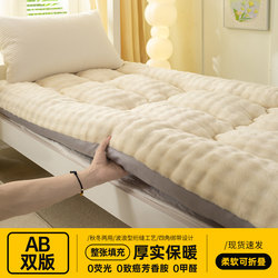 Dormitory Mattress Soft Pad Thickened Mattress Winter Milk Velvet Mattress Pad Home Use 1.5m Mattress Pad Non-Slip Warm Pad Quilt