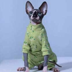 German Hairless Cat Turtle Collar Anti-Shedding Sweater