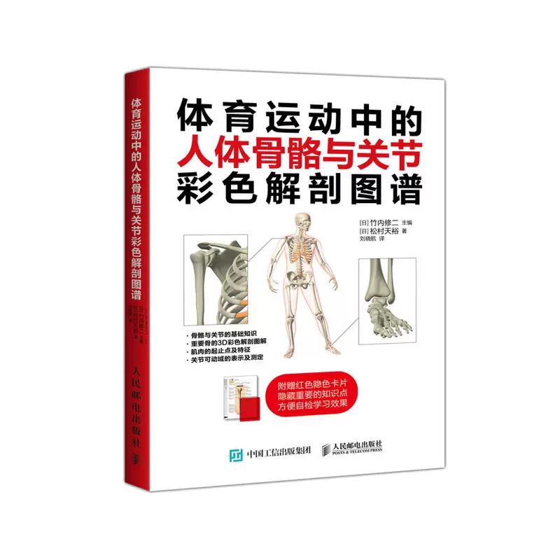 体育运动中的人体骨骼与关节彩色解剖图谱骨和重要关节解剖