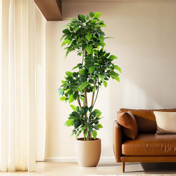 Large Artificial Plant, Money Tree, Living Room Floor-Standing Fake Green Plant, Indoor Home Decoration Ornament, Artificial Flowers