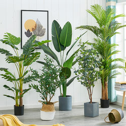 Large Nordic-Style Artificial Green Plant, Ins-Style Home Decoration, Floor-Standing Traveler's Banana Plant, Large Indoor Fake Flower Potted Plant
