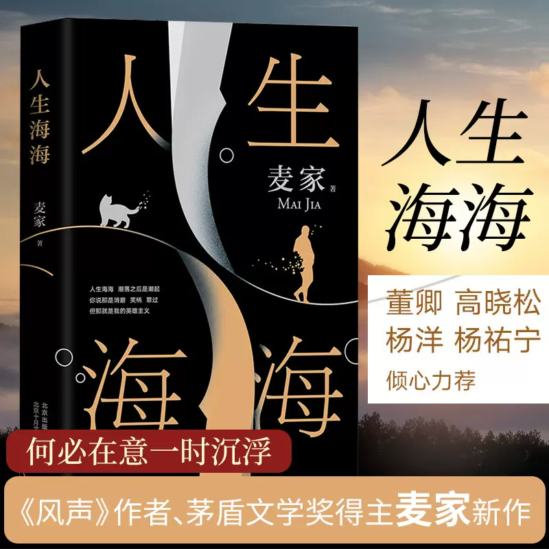 人生海海麥家楊洋董卿茅盾文學獎得主麥家暗算風聲豆瓣