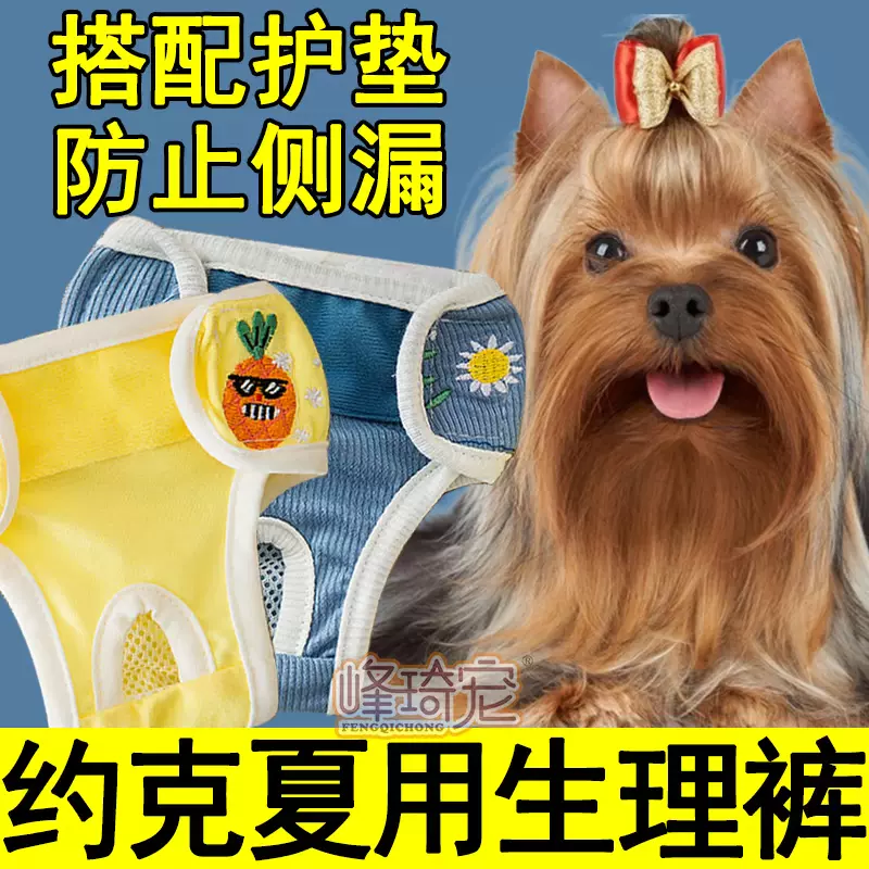 约克夏专用大姨妈生理裤女母狗狗例假经期穿的卫生巾