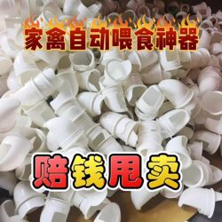 Automatic Chicken and Duck Feeder, Automatic Feed Dispenser, Poultry Feeding Trough, Automatic Feeding Device