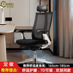 Hilton Doubletree Style Computer Chair, Ergonomic Chair for Long Sitting, Lumbar Support, Adjustable Office Chair, Modern Executive Chair