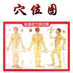 Human body meridian and acupuncture point diagram, foot and facial diagram, mugwort essential oil, moxibustion book, meridian health care equipment with storage bag