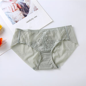 Wutong natural color underpants women's middle and low rise briefs sexy lace embroidery mesh cotton bottom file WN618116