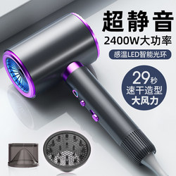 Hair Dryer for Home Use, Negative Ion Hair Care, Strong Wind, Barber Shop Special, Silent, Quick-Drying, High-Speed, High-Power Hair Dryer