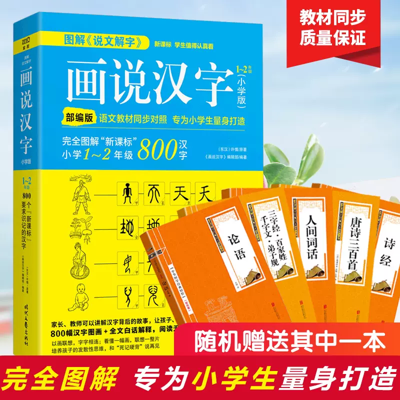 赠学校推荐 许慎画说汉字小学版1 2年级800个汉字故事书学习读物图解说文解字中文汉字记忆技巧书语文写作基础书籍zt Taobao