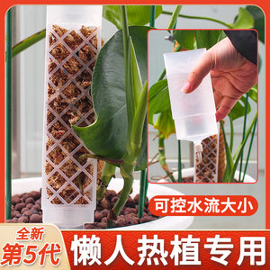 
Sperm moss column Monstera can be spliced and shaped hot plant climbing column green radish vine plant climbing column fixed rod support