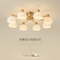 Living Room Lamp Nordic Japanese Style Solid Wood Main Hall Lamp Modern Simple Creative Cozy Chandelier Ceiling Lamp