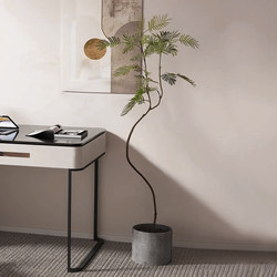 Simulated Green Plant Millet Monkey Earring Large Luxury Bionic Fake Plant Indoor Living Room Decoration Floor-Standing Potted Plant Ornament