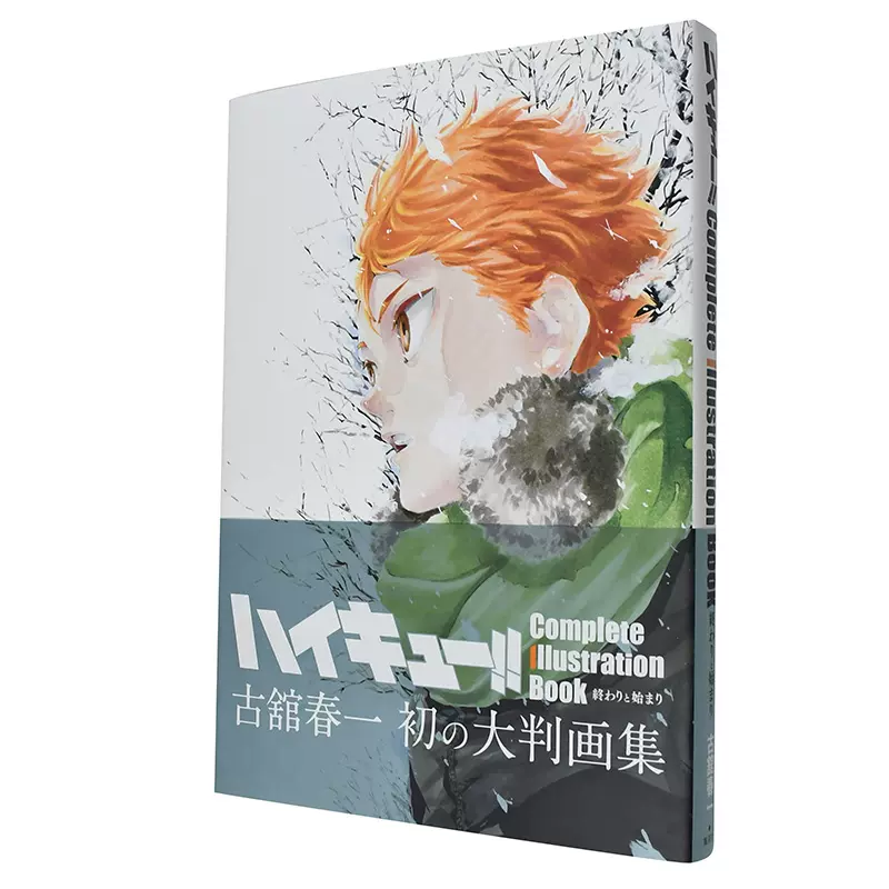 ハイキュー!! Complete Illustration book 終わりと… - その他