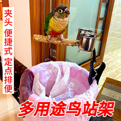 Parrot Pepperwood Perch Stand with Trash Can, Fixed-Point Defecation Clip, Creative Poop-Picking Tool, Multifunctional