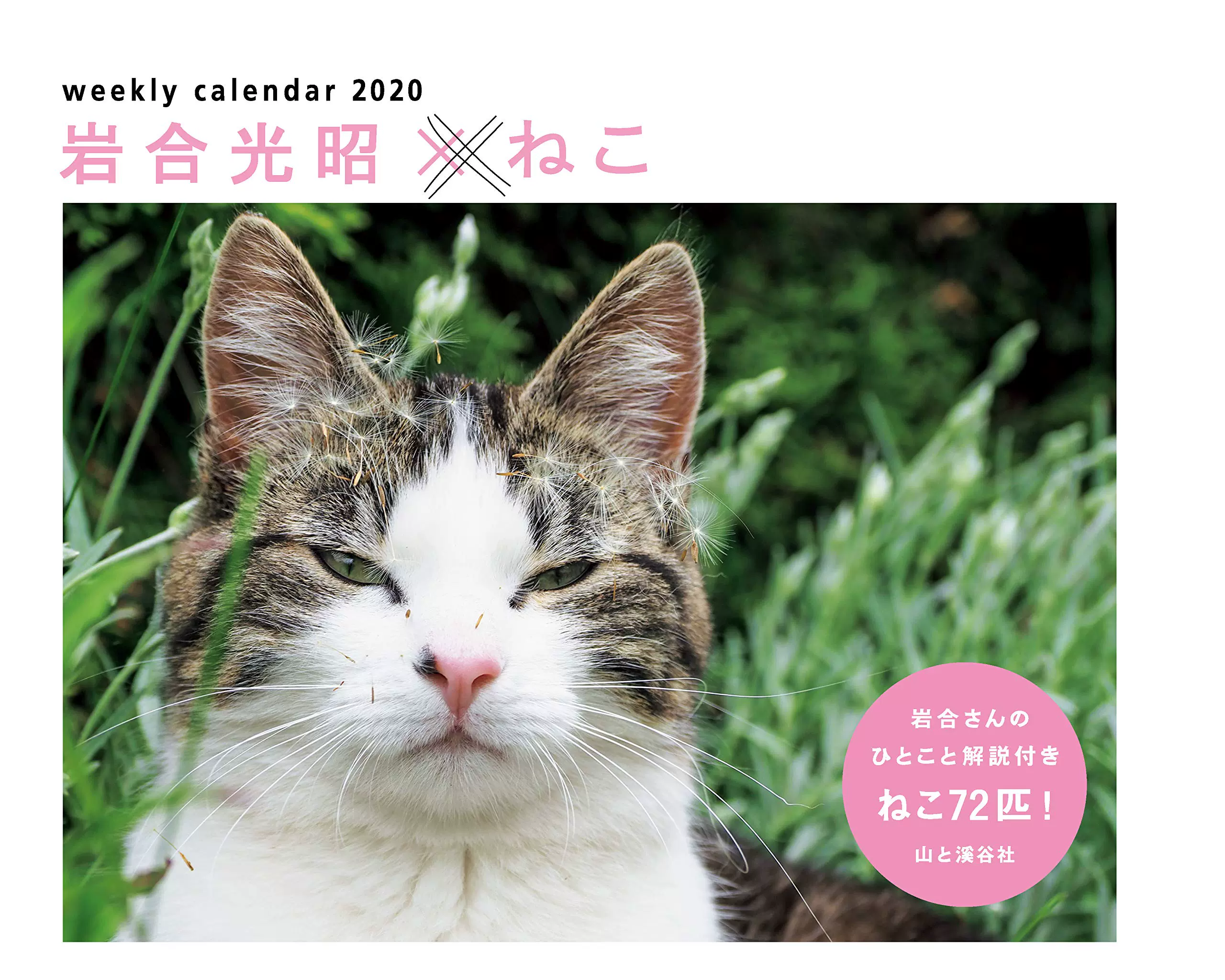 现货 岩合光昭 猫年桌上周历月历台历多种