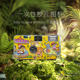 Fuji Kodak Retro Disposable Film Camera Half-Grid Flash Silly Color Film Machine Creative Gift