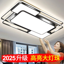 Living Room Lamp, Modern, Simple and Elegant, Main Light, 2025 New Model, Ceiling-Mounted Large Lamp, Zhongshan Lighting Fixtures, Whole House Package Set