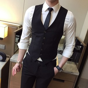 Suit vest men's business format Korean version of the slim tide horses horses, Professional Baying Banquet groomsmen groomsmen casual vest