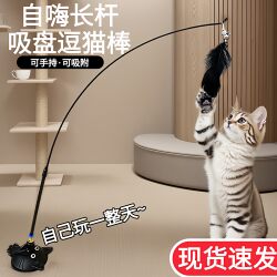 Cat Toy Teaser Stick with Suction Cup, Long Rod for Self-Entertainment and Boredom Relief, Complete Collection of Kitten Supplies