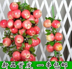 Simulated Fruit Skewers, Fake Vegetables, Farmhouse Restaurant Decoration, Apple, Corn, Pepper, Garlic Hanging Ornaments Bmjej8Agvo