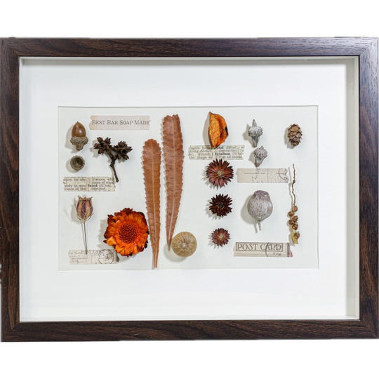 Jill Kellining yalangoch fotosuratlari